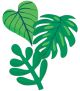 Tropical Leaves Cutouts