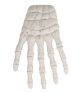 Halloween Skeleton Hand Prop