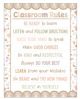 Terrazzo Tones Classroom Rules Chart