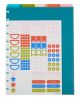 Bright Day Big Plastic Dividers 5 Pack