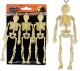 5Ft Skelleton Garland 5-7/8