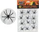 Spider Web with Spider 12pk